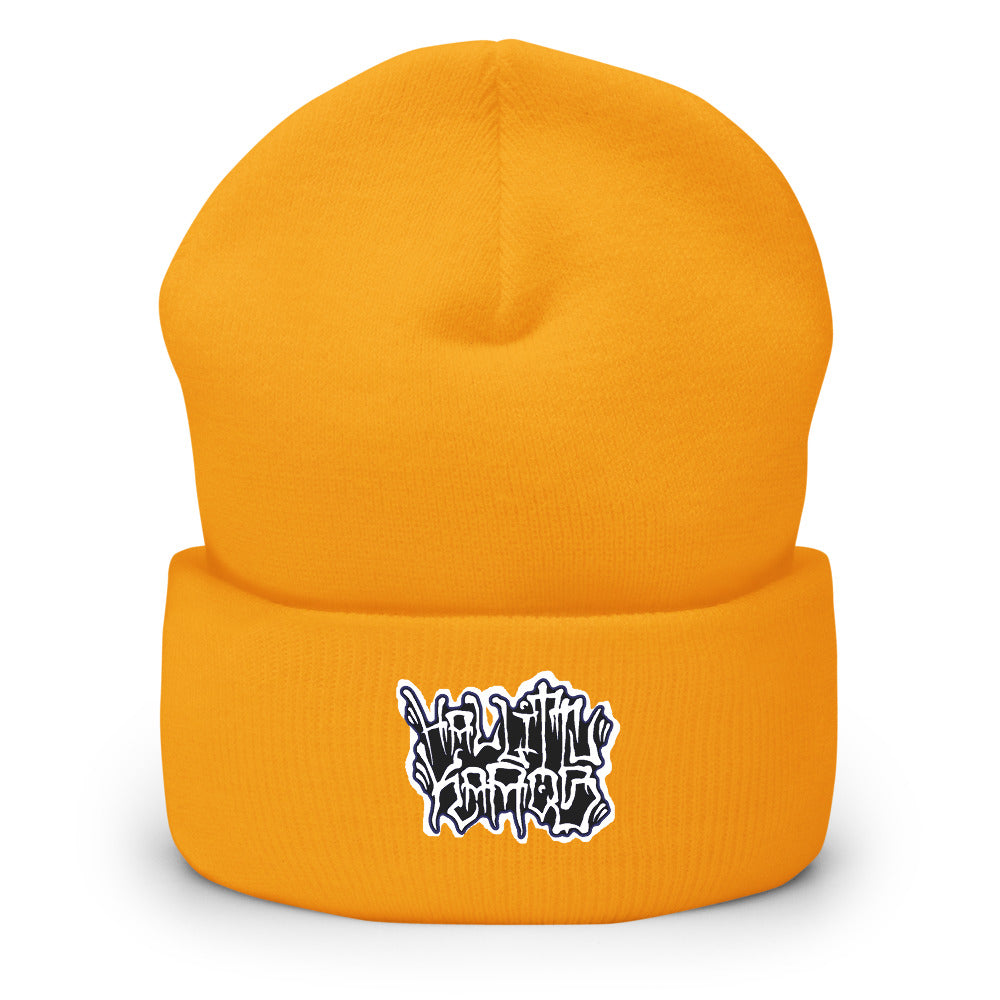 Hallittukaaos Beanie
