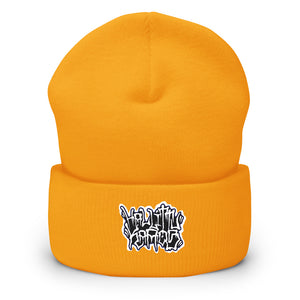 Hallittukaaos Beanie
