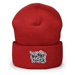 Hallittukaaos Beanie